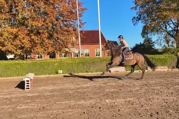 Fridhem, Malmö
